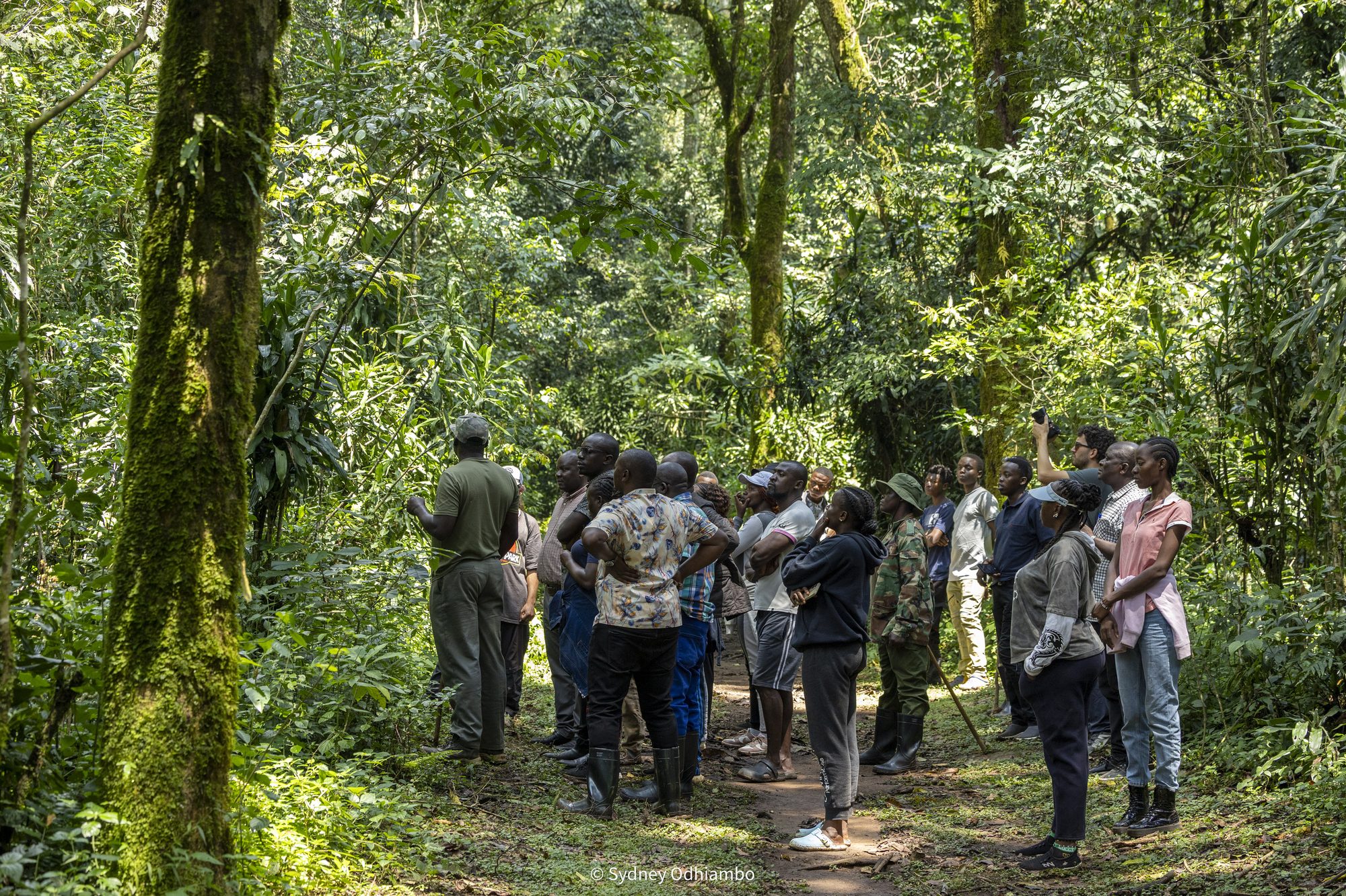 KVSO volunteers and a Kenya Forest Service guide among the trees of Kakamega Forest